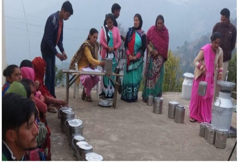 Gangolihat’s Dairy, How Rural Women Sparked a Self-Reliance Revolution