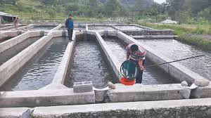 Trout Farming Changing Lives in Chamoli’s villages