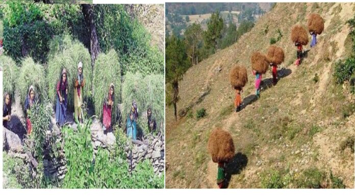 Ghasiyari Kalyan Yojana Faces Setbacks