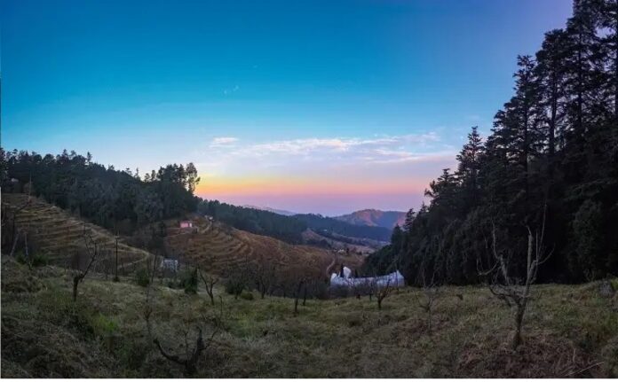 Revamped to Boost Horticulture Tourism