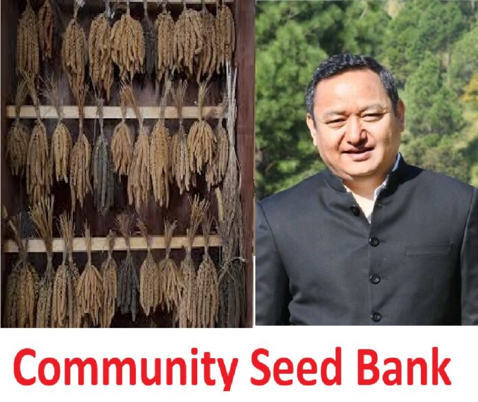 Community Seed Banks Strengthen Rural Livelihoods